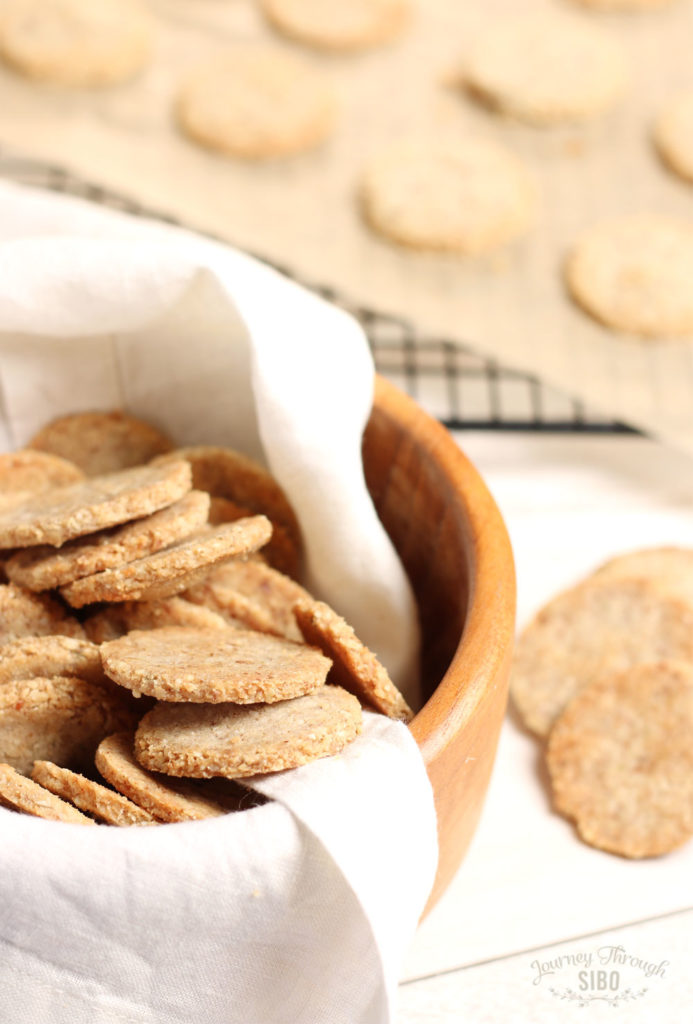 Walnut Wafer Crackers Journey Through SIBO