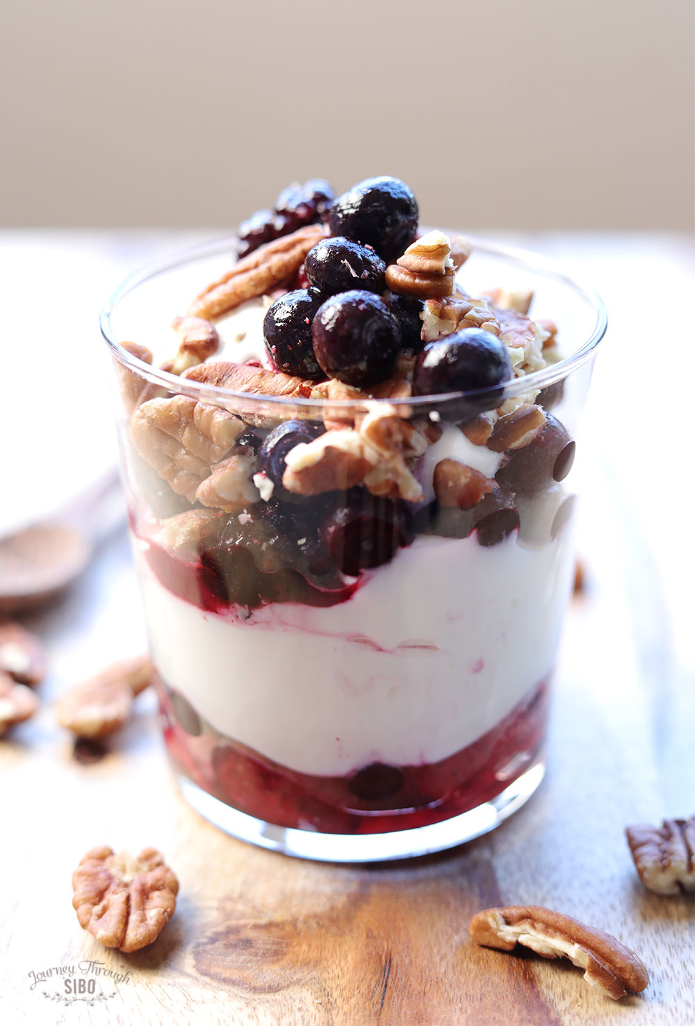 Yogurt Parfaits with 24Hour Yogurt Journey Through SIBO