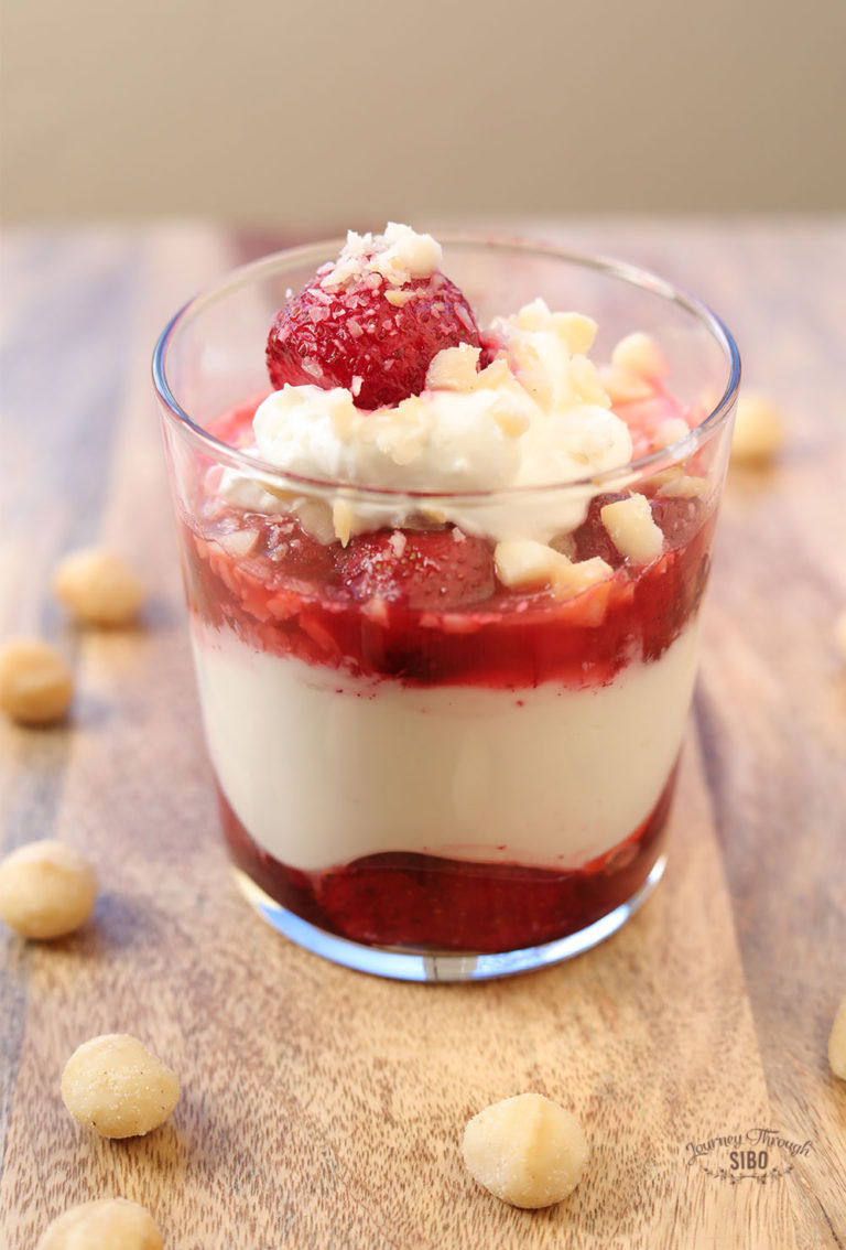 Yogurt Parfaits with 24Hour Yogurt Journey Through SIBO